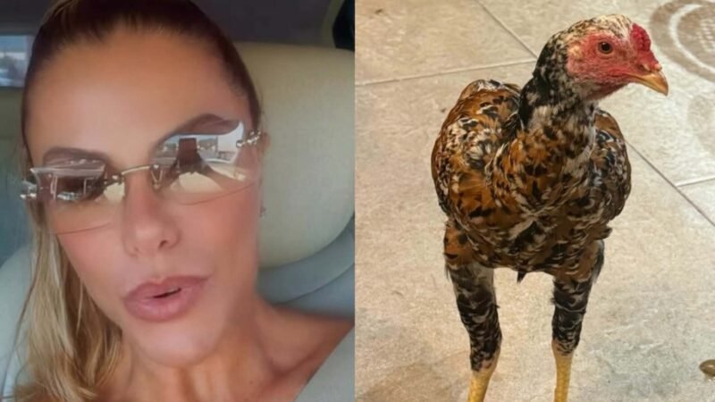 Poliana Rocha revela o que fara com a galinha que