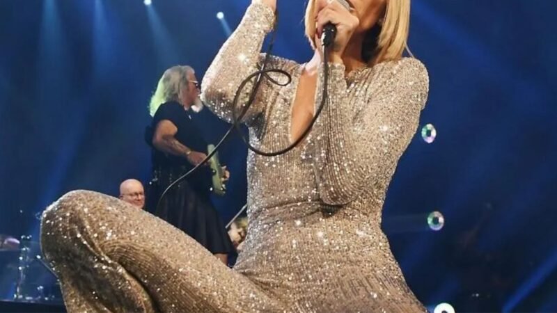 Dona de R 3 bilhoes cantora de 58 anos foca